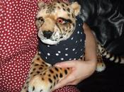 Self portrait jeudi pois