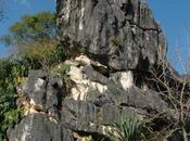 Thailande Loei, jardin pierres