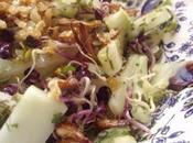 Salade concombre saveurs piquantes graines germées radis, gingembre frits vinaigrette d'agrume d'aloé vera