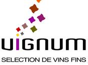 grands vins dans petit flacon déguster avec Vignum
