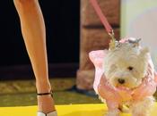 Pet-a-Porter Harrods Fashion Show