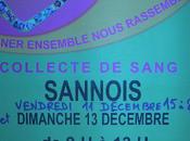 Fête Lumières Lyon