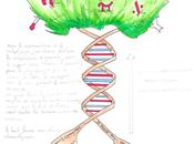 L’arbre philosophie (dessins d’élèves)