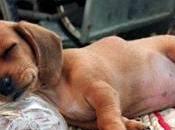 c'est l'heure sieste