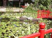 Jardin japonais Parc floral tropical Cour d'Aron
