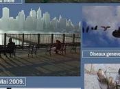 Derniers déclics 2009.