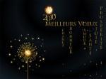 Bonne année 2010