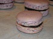 Macarons mûre