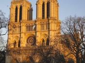 Sortie photo Cathédrale Notre Dame Paris