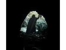 Seigneur Anneaux... 5000 dollars