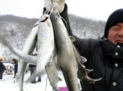 Festival pêche glace Corée