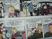 Calvin Hobbes, rouge dans maison