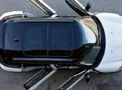 Mini Countryman plus détails