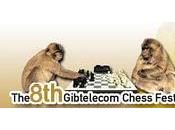 Gibtelecom Chess Festival annoncé