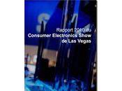 Rapport 2010 Vegas