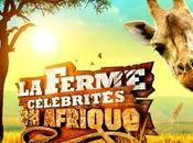 Ferme Célébrités Afrique frayeur pour candidats lors d'un Safari