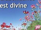 Dites tout présente