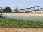 Agriculture réduction pesticides serait possible