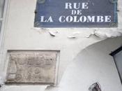 Colombe plaque doublement insolite