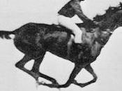 Course chevaux Galop Horses racing Gallop Essai traduction vitesse Aquarelle