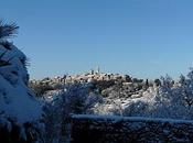 Cake citron airelles réalisé avec l'huile d'olive
