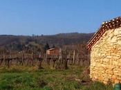 Clos d'un jour, Cahors réinventé