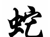 Astrologie Chinoise: Serpent 2010