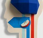 Cycle d'un pépin pomme