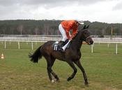 Fontainebleau (23.02.2010)