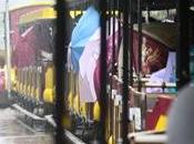 Safari Park XiangJiang