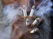 Cigarette pétition 80'000 signatures