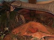 dinosaures Aix-en-Provence