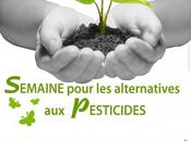 alternatives pesticides