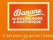 récup’ Marathon sous Soleil