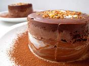 IRRESISTIBLE CHOCOLAT (cheesecake mousse chocolat)