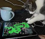 Rendez votre chat heureux, achetez iPad