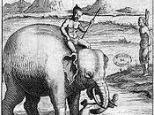 L'exécution éléphant