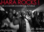SAHARA ROCKS Festival Culture Saharienne Actuelle