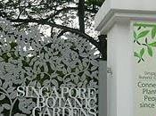 Botanic garden Singapour (vues d'ensemble)