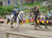 L'Ork Torvark envahit Provins