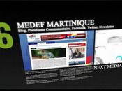 L'agence CREATIV3 choisie pour développer plateforme Medef Martinique