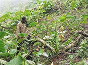 Expropriations forcées Afrique