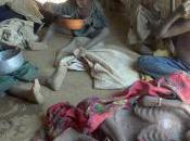 Crise alimentaire Sahel: millions personnes touchées
