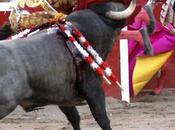 torero espagnol José Thomas très grièvement blessé