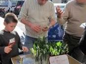 Muguet vente rêglementée cette année encore