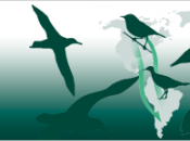 Journée mondiale oiseaux migrateurs