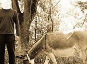 COMMENT J'éCRiS. Murièle Laborde Modély