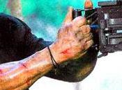 Sylvester Stallone annule Rambo pour Expendables