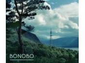 Bonobo Black Sands