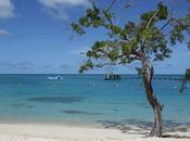 Vacances... bleu, collections...